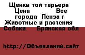 Щенки той терьера › Цена ­ 10 000 - Все города, Пенза г. Животные и растения » Собаки   . Брянская обл.